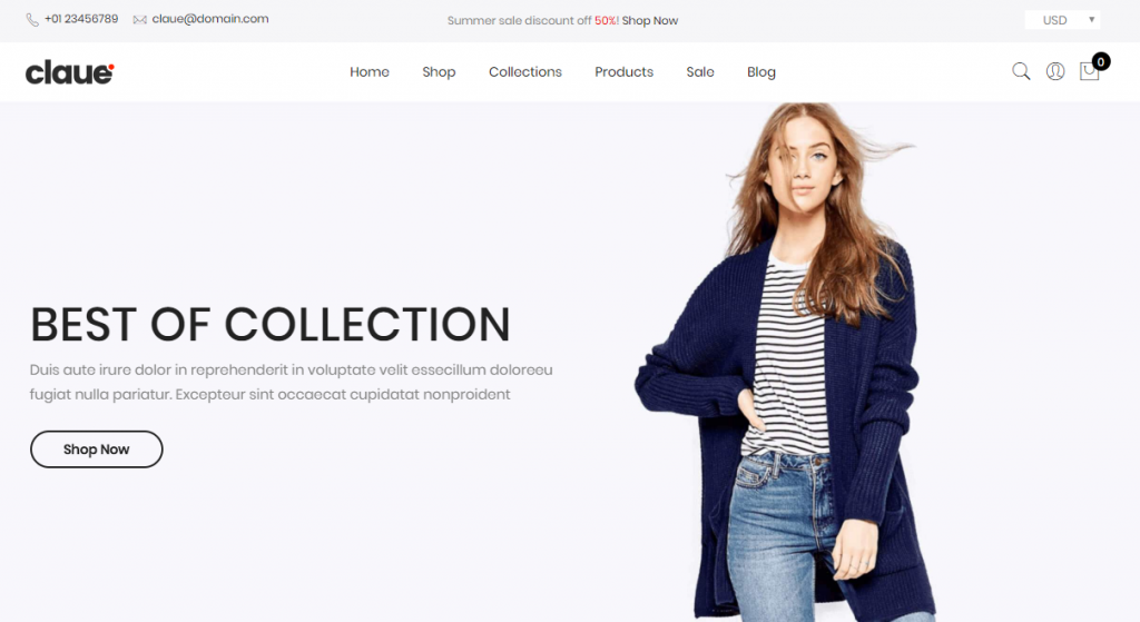 Best Shopify Themes for Dropshipping